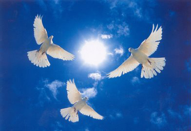 Ж.Мөнхбат : Дутах эс дутахын шүлэг